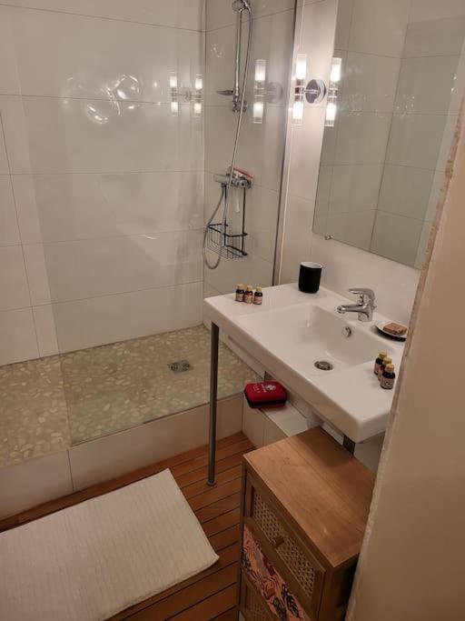 Appartement Luxe "La Providence" , Plein Centre Vichy Kültér fotó